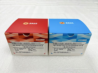 Aβ1-40/Aβ1-42/p-tau181/GFAP 联检试剂盒（流式荧光发光法）