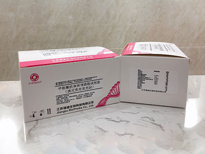 甲状腺抗体两项联检（TG-Ab、TPO-Ab）试剂盒（流式荧光发光法）
